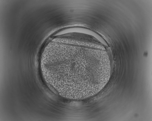 X0000116870350201001191728