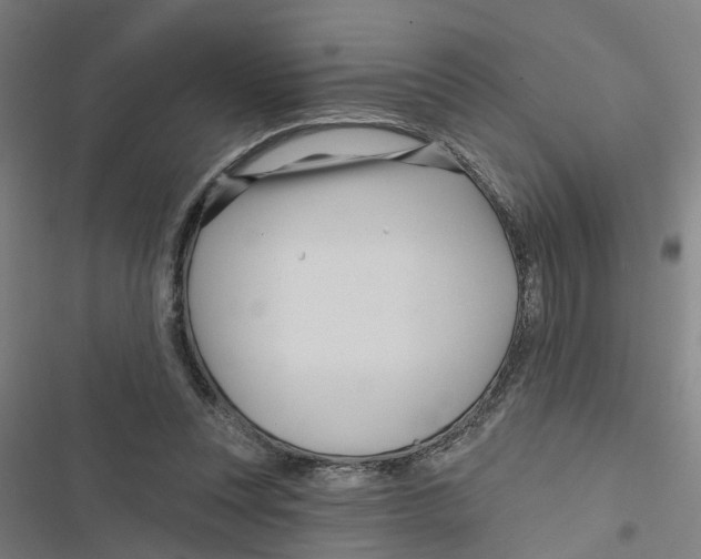 X0000116870351201001191728
