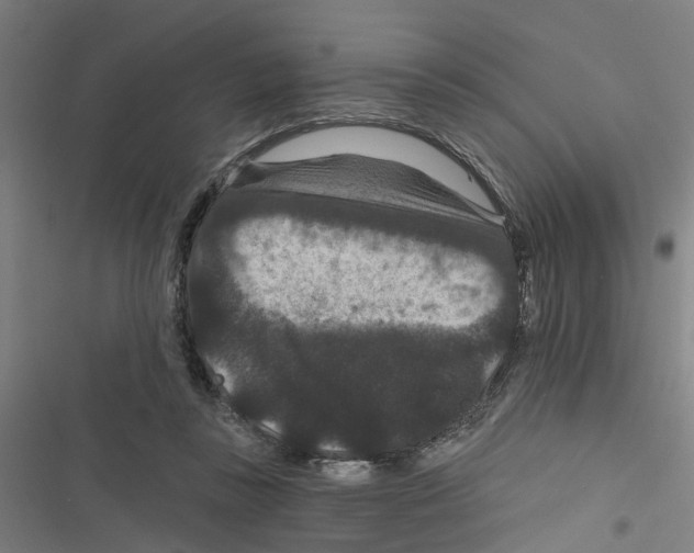X0000116870355201001191728