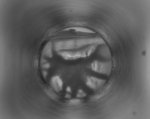 X0000116870357201001191728