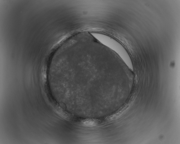X0000116870358201001191728