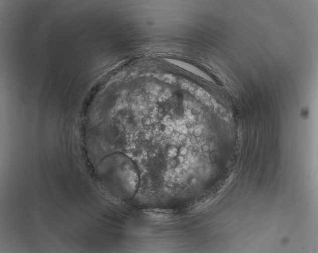 X0000116870359201001191728