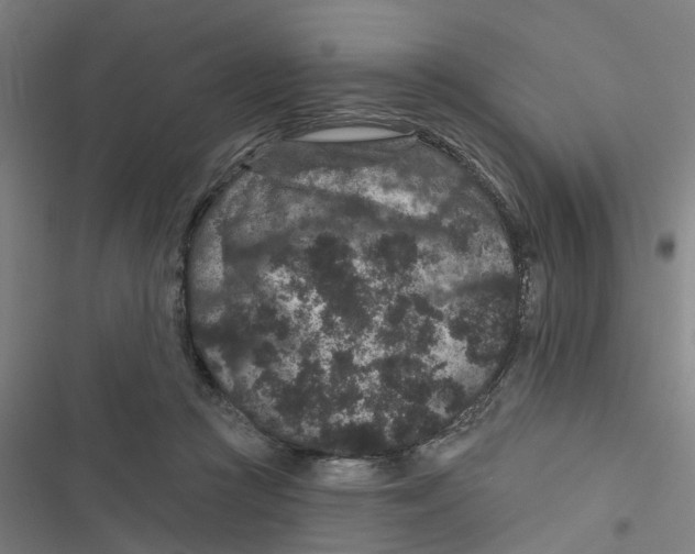 X0000116870361201001191728
