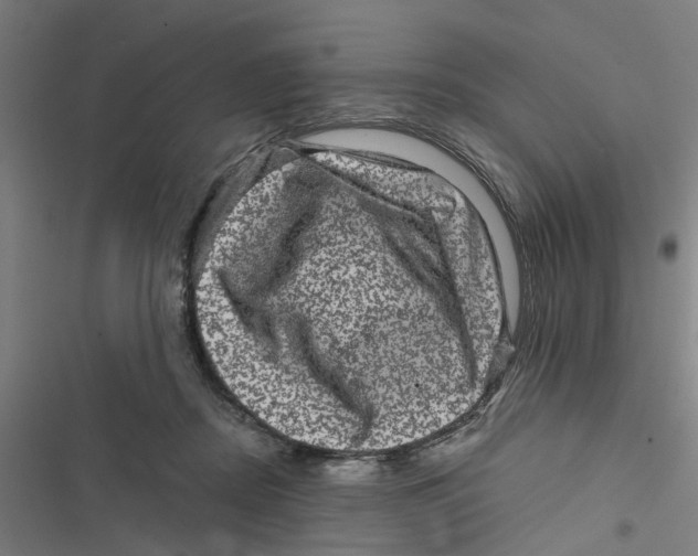 X0000116870362201001191728