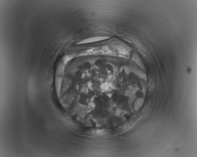 X0000116870365201001191728