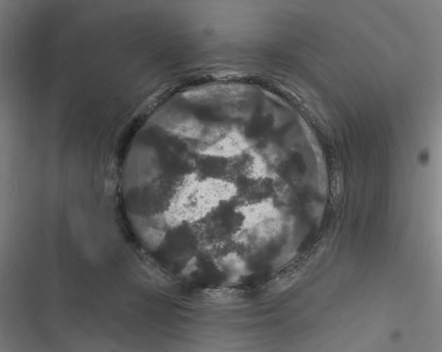X0000116870367201001191728