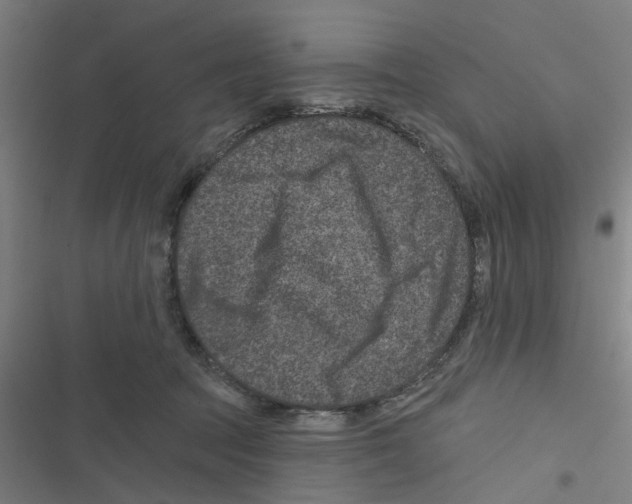 X0000116870369201001191728