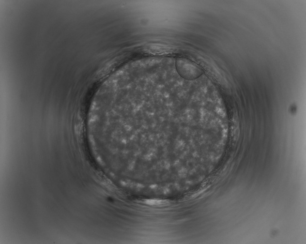 X0000116870371201001191728