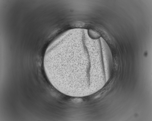 X0000116870374201001191728