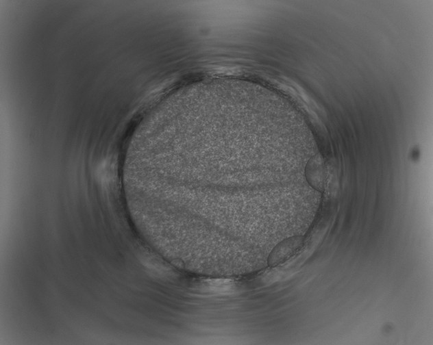 X0000116870377201001191728