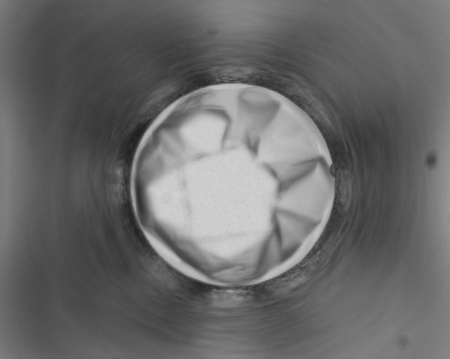 X0000116870378201001191728