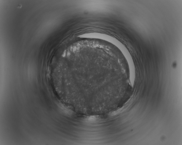 X0000116870382201001191728