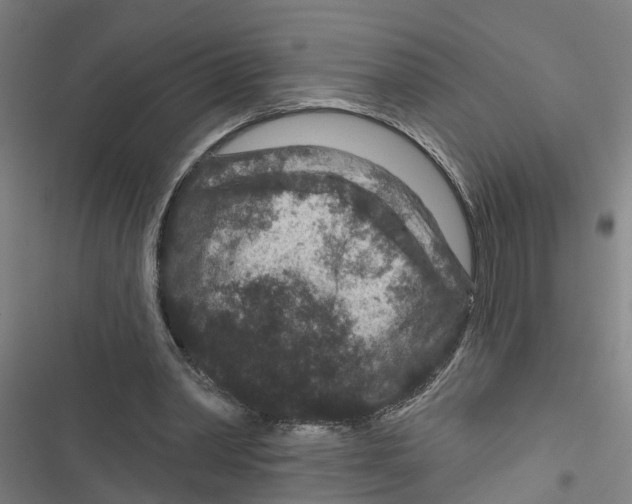 X0000116870390201001191727