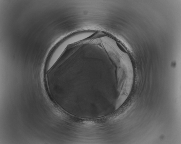 X0000116870391201001191727