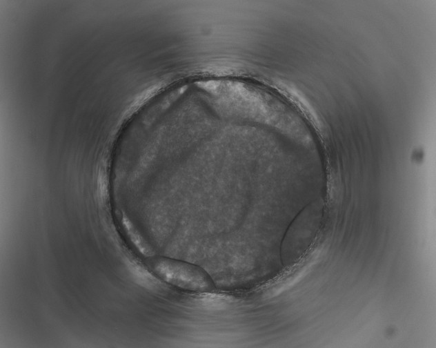 X0000116870393201001191727