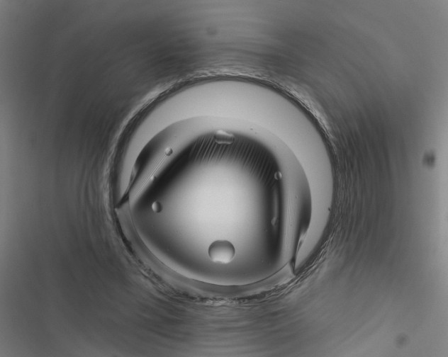 X0000116870395201001191727