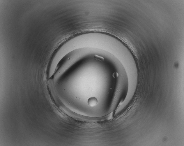X0000116870397201001191727