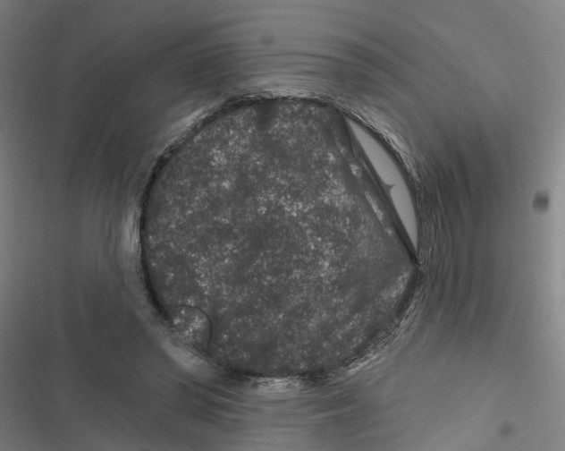 X0000116870398201001191727