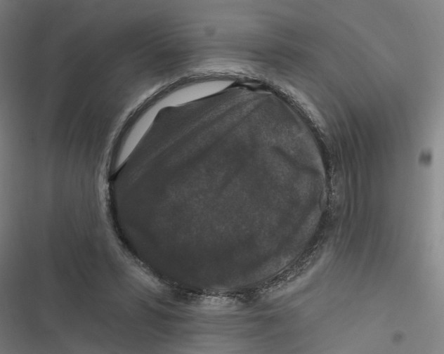 X0000116870399201001191727