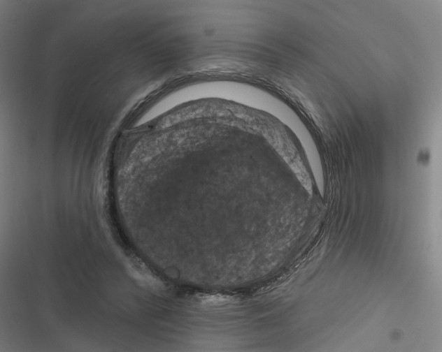 X0000116870400201001191727