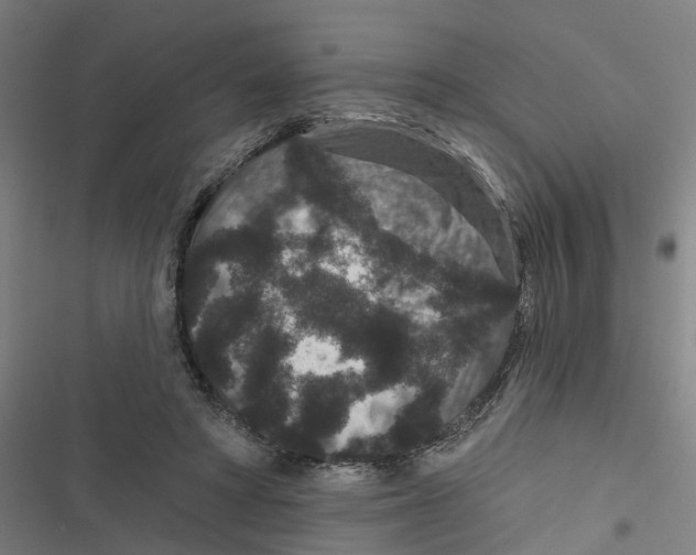 X0000116870402201001191727