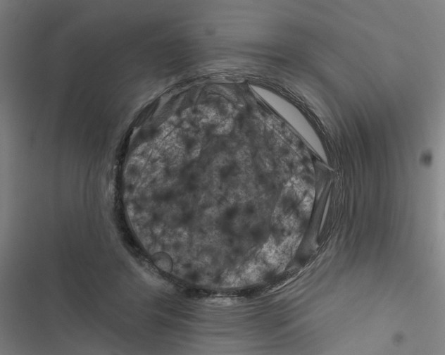 X0000116870404201001191727