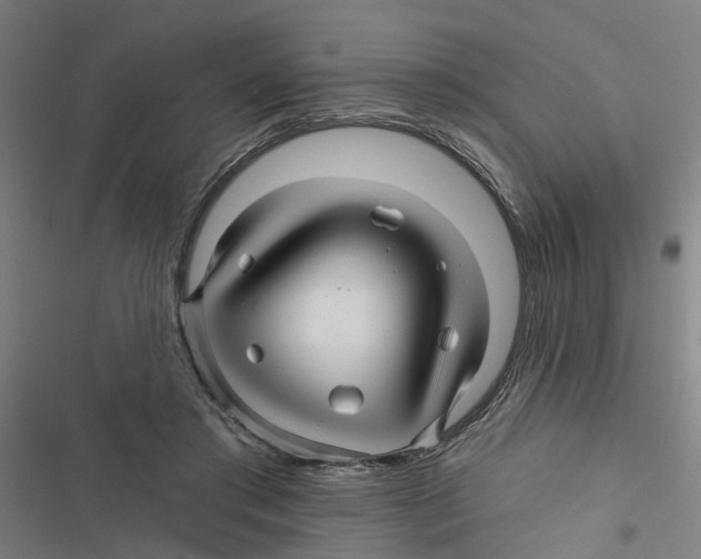 X0000116870405201001191727