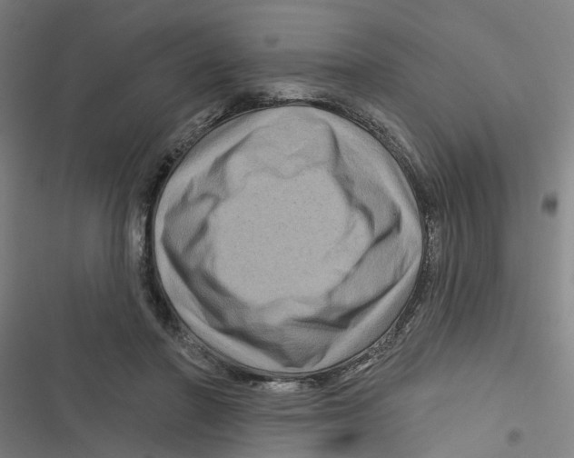 X0000116870406201001191727