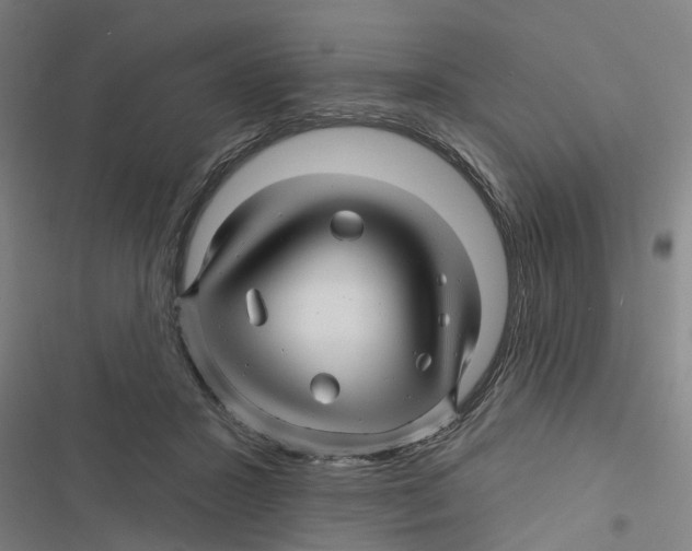 X0000116870407201001191727