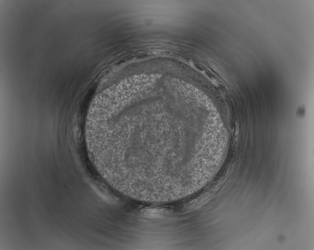 X0000116870408201001191727