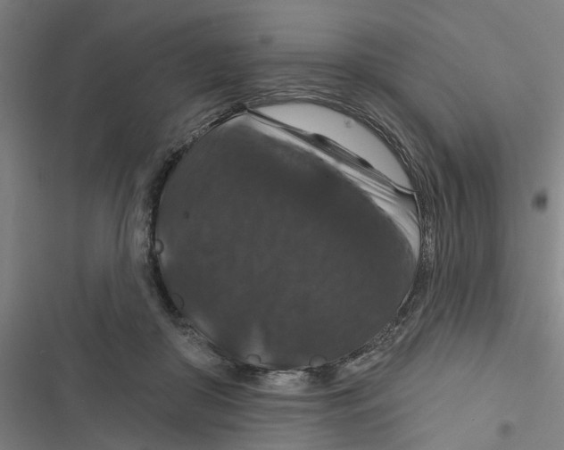 X0000116870410201001191727