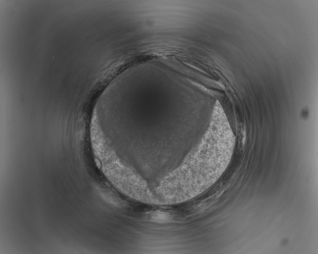 X0000116870412201001191727