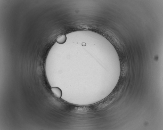 X0000116870414201001191727