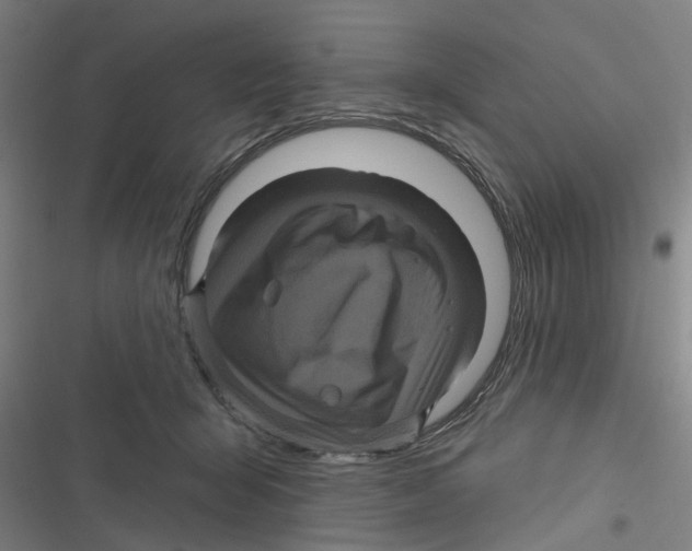 X0000116870415201001191727