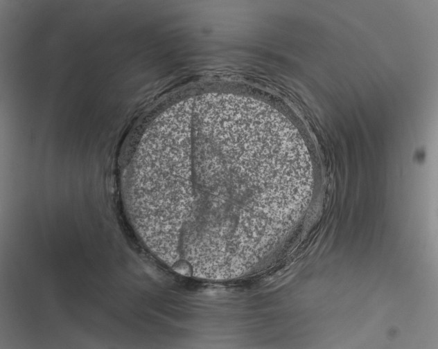 X0000116870416201001191727