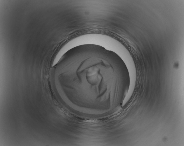 X0000116870417201001191727