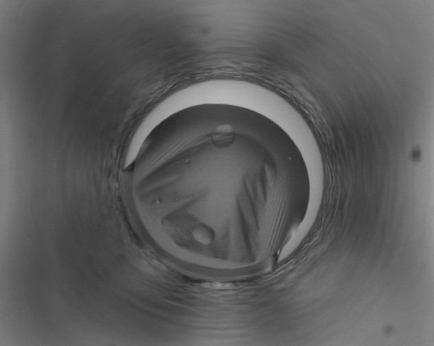 X0000116870419201001191727