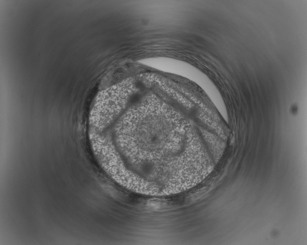 X0000116870420201001191727
