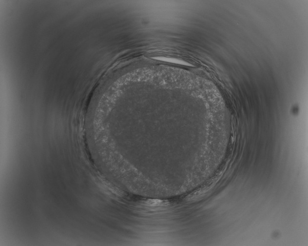X0000116870421201001191726