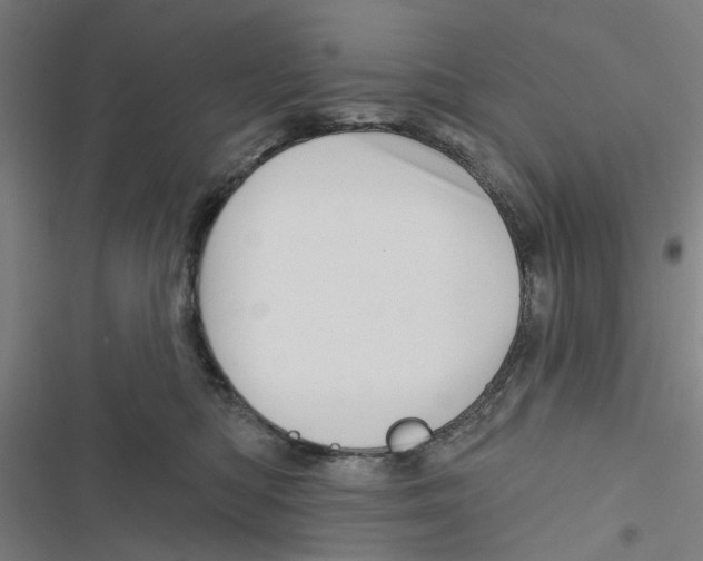 X0000116870422201001191726