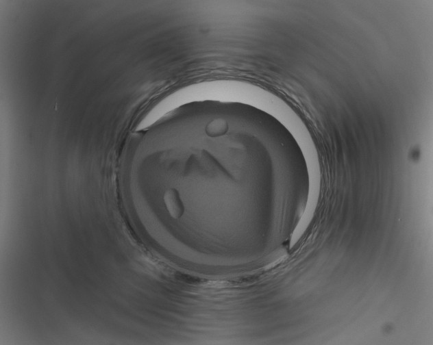 X0000116870423201001191726