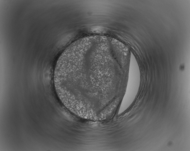 X0000116870424201001191726