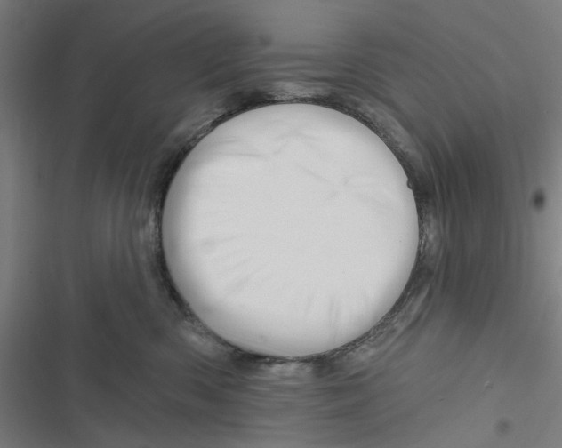 X0000116870426201001191726