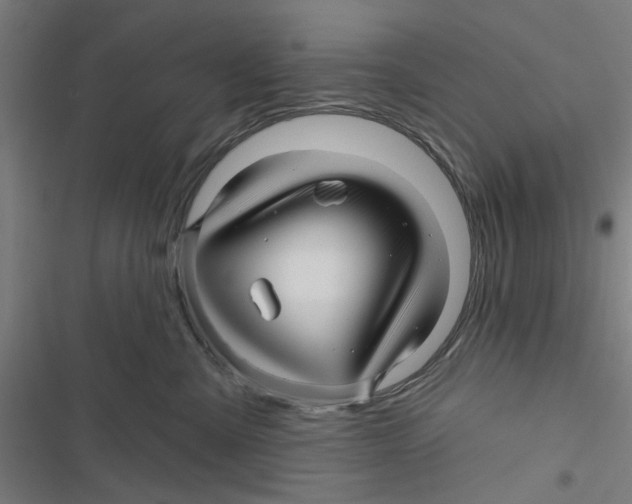 X0000116870427201001191726