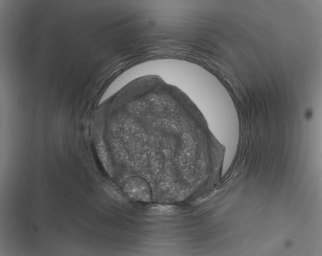 X0000116870428201001191726