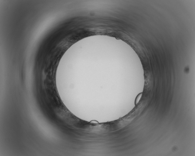 X0000116870430201001191726