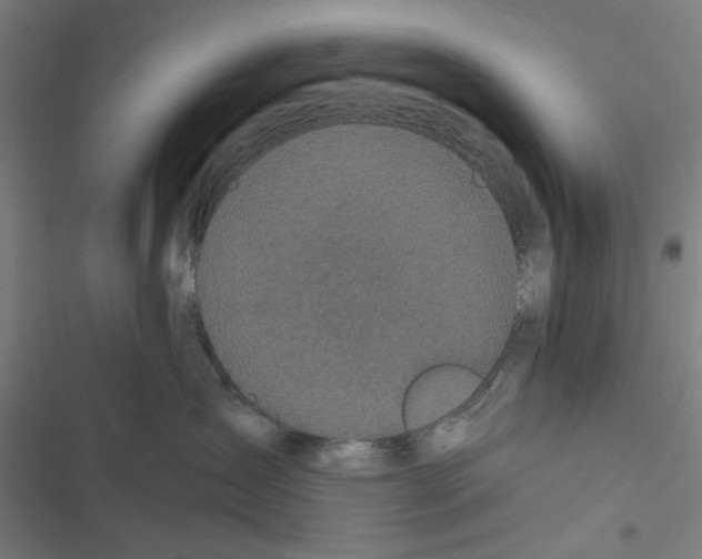 X0000116870431201001191726