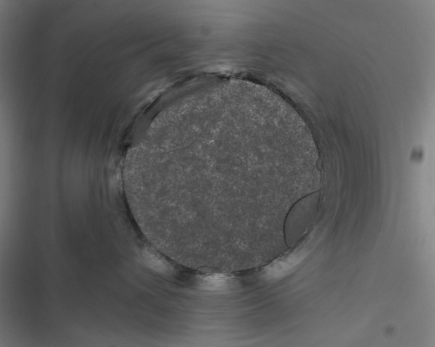X0000116870432201001191726