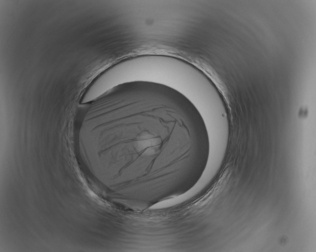 X0000116870433201001191726