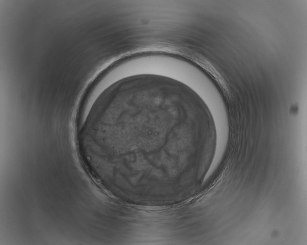 X0000116870436201001191726